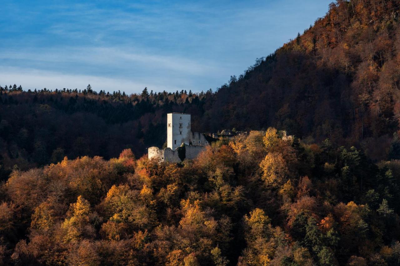 Dvorec Trebnik - Sobe Slovenske Konjice Exterior photo